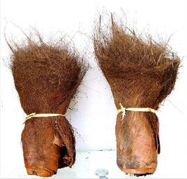 榻榻米垫子脏了怎么办,关于榻榻米