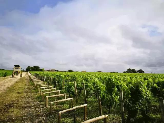 波尔多十座顶级名庄,喝遍全世界葡萄酒