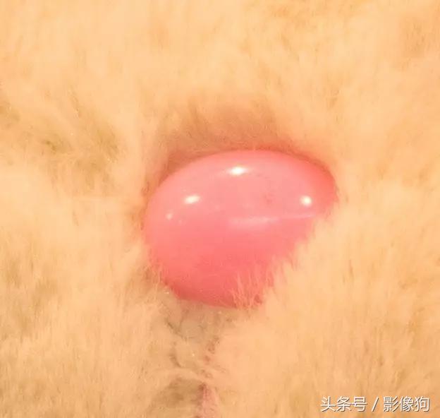 尼康z30腾龙适马70-200哪个好,腾龙适马2870镜头测评