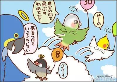 不小心踩死自己的宠物痛哭流涕,不小心把宠物压死了