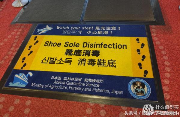 夫妻逛街买买买,夫妻日常买买买