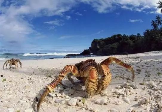 秦皇岛秋景最好的地方 (秦皇岛周边十月赏秋色的地方)