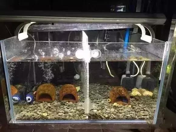 家装水景鱼缸造型全景,家居水景大号