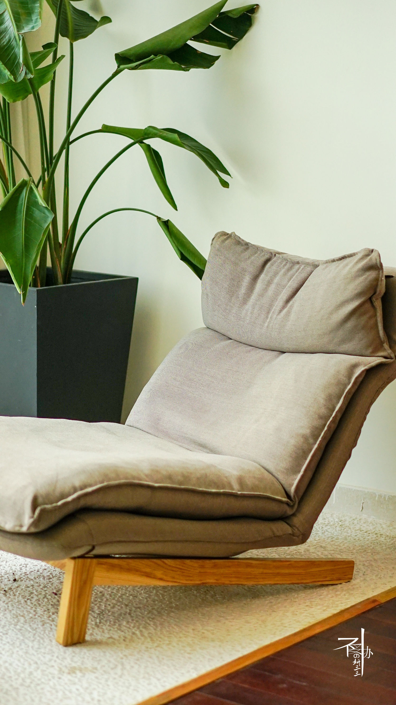 三三睡民宿｜留驻丽水此画中，沉醉不知归