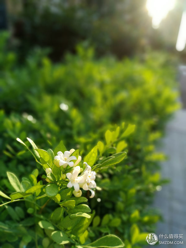 魅蓝note6有多好火,2019年魅蓝note6还够用吗