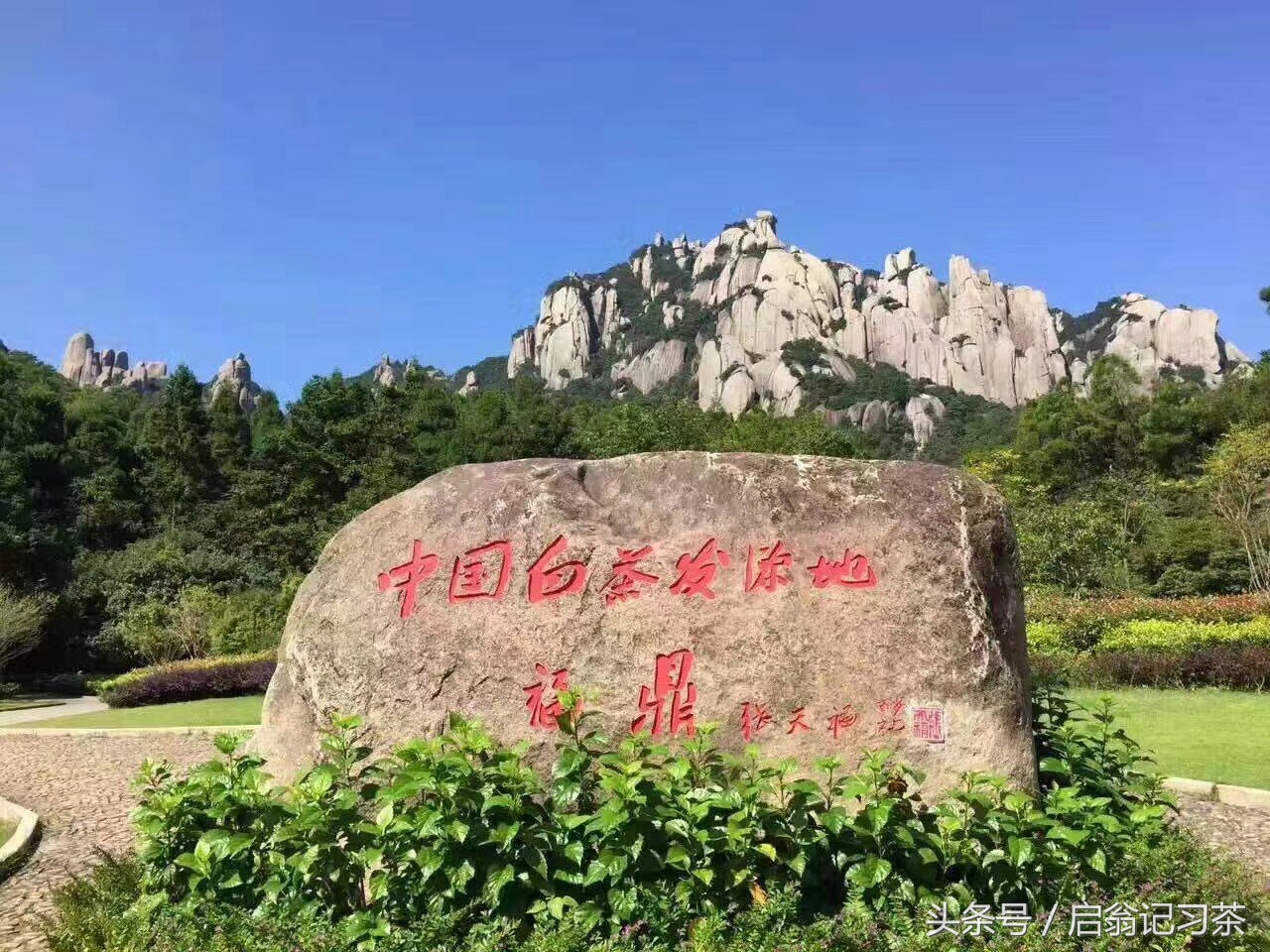 有关茶叶的回甘生津的视频,茶叶苦回味甘甜是什么茶