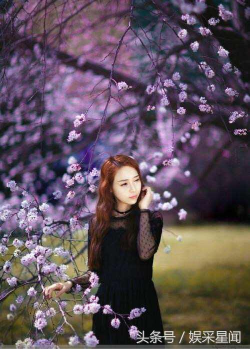 《桃园春色》作吟诗：大诗人滕远渊，千古名流之作