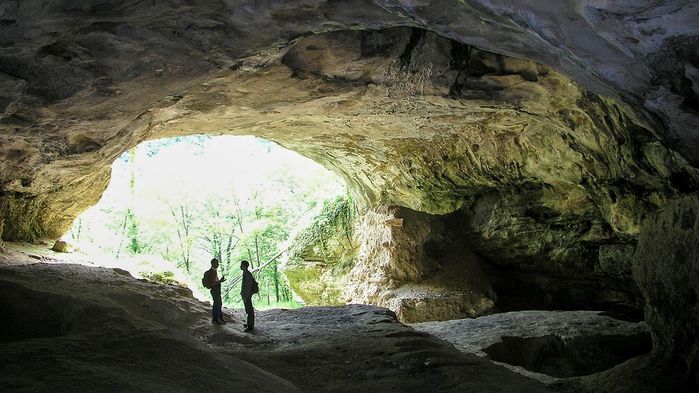 尴尬！尼安德特人和我们祖先并未出现在同一次元，如何能够交配？