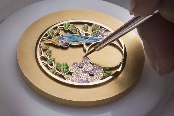 腕上鸟类图鉴｜谁是颜值之巅？