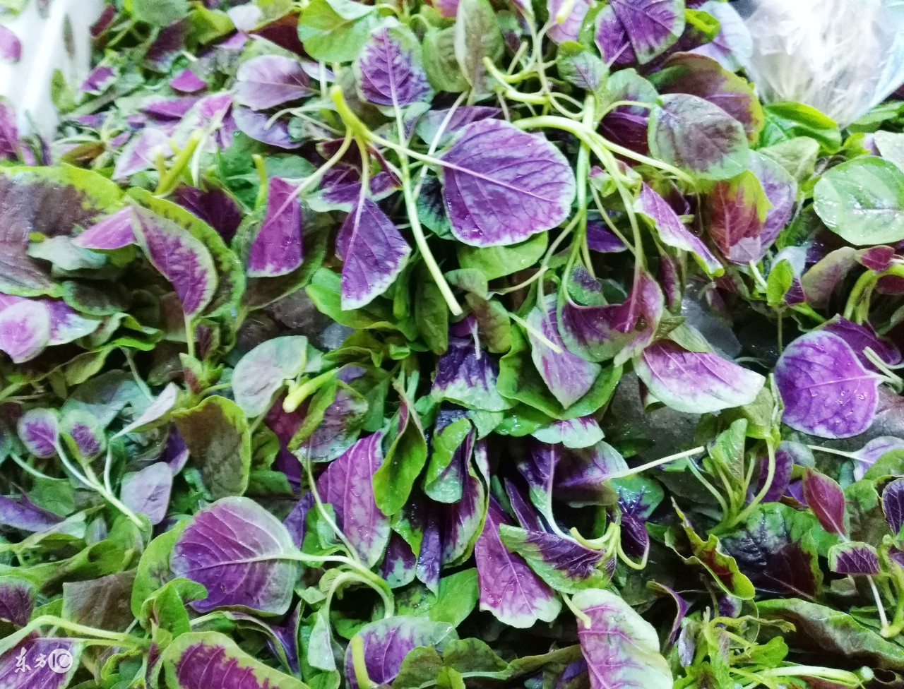 牙齿内源性着色怎么办,牙齿着色的克星