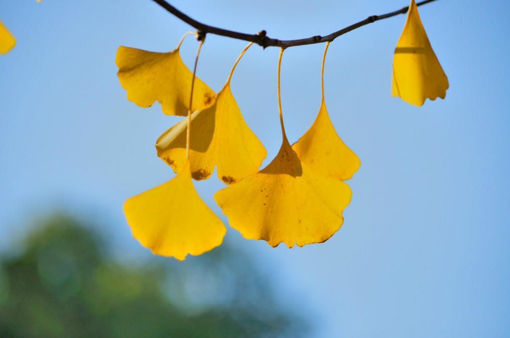 那年，我的“浅秋”，与秋天无关