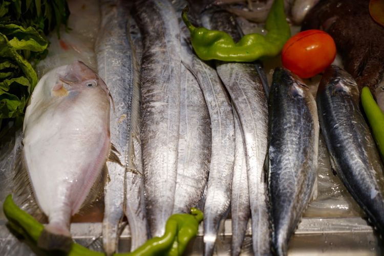 东海沈家门海鲜,沈家门旅游海鲜攻略