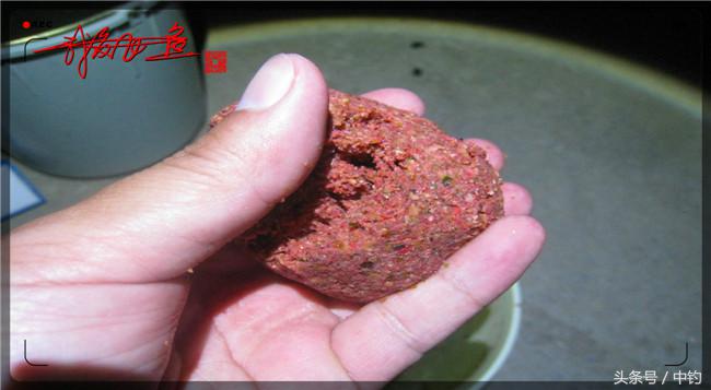 乌河湿地公园夜钓鱼,乌水边夜钓