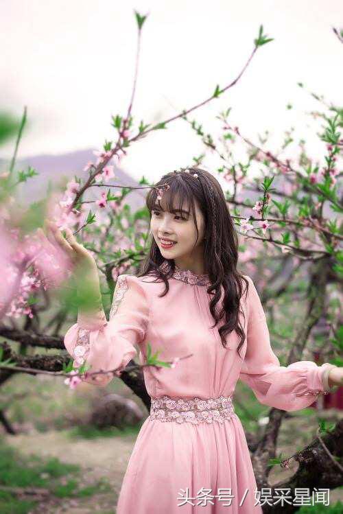 《桃园春色》作吟诗：大诗人滕远渊，千古名流之作