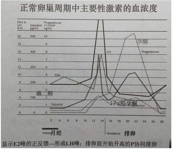 越瘦越容易得肺病,越瘦越容易得心脏病