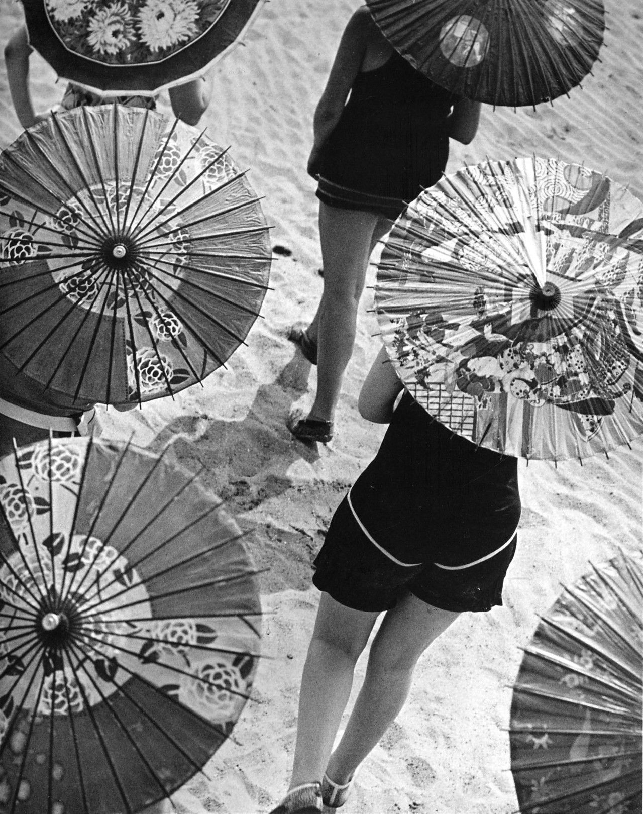 要看见自由和快乐，就不会让痛苦毁掉梦想