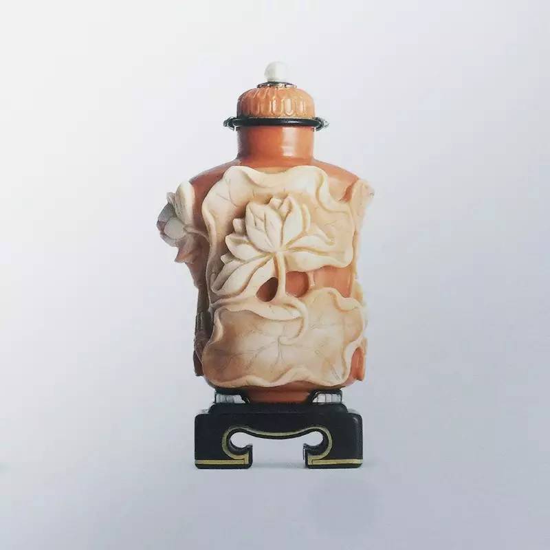 长知识升逼格｜来看看大蜥蜴国有多了不起