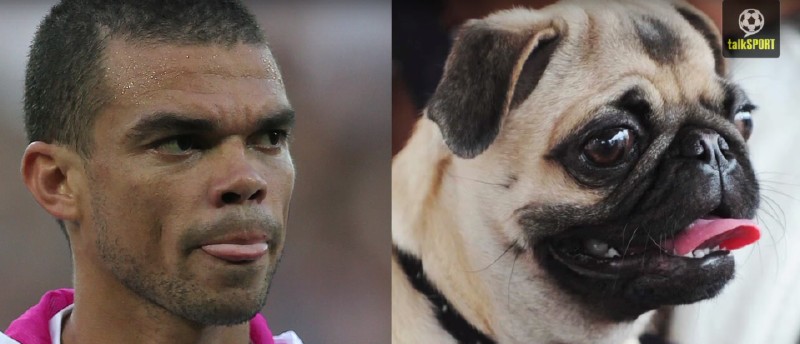 太像了！太像了！你喜欢的足球运动员像什么动物？