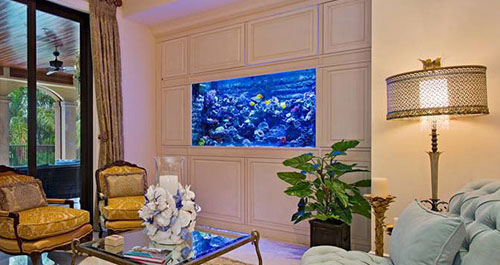 买鱼缸怎么选最好的鱼缸,新手怎么挑选一款好点的鱼缸