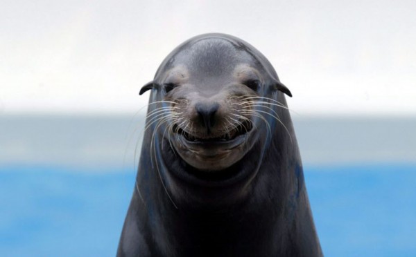 如何合理运用情绪疗法来处理情绪,合理情绪疗法详解