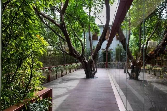 十年发展历程十年砥砺前行,十年变革取得了哪些成就