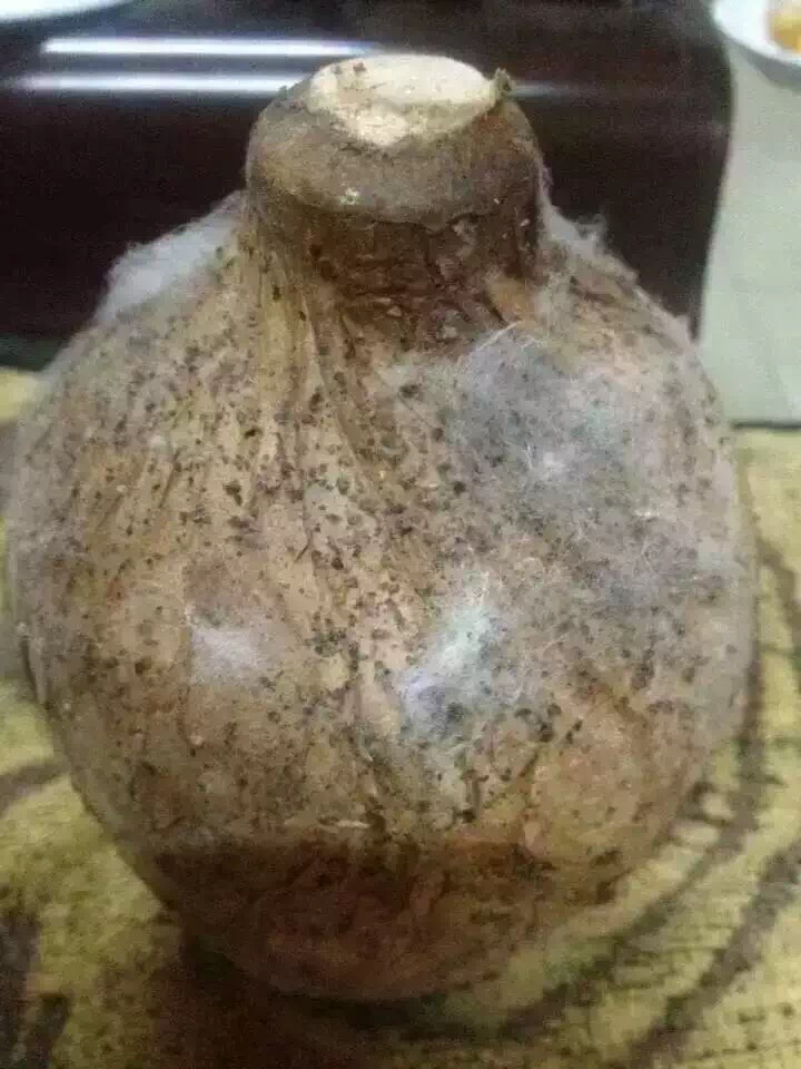 酒友必须知道的事情,洞藏老酒是不是真的