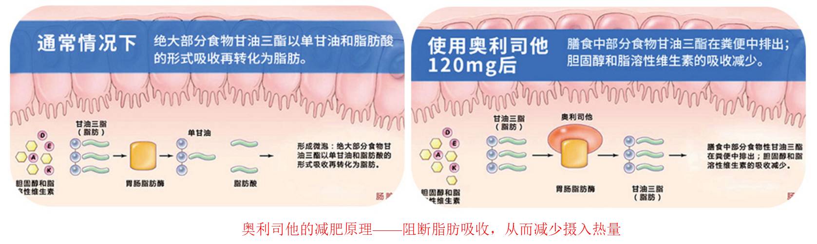 *肥药减**可能是史上最大的营销*局骗**之一
