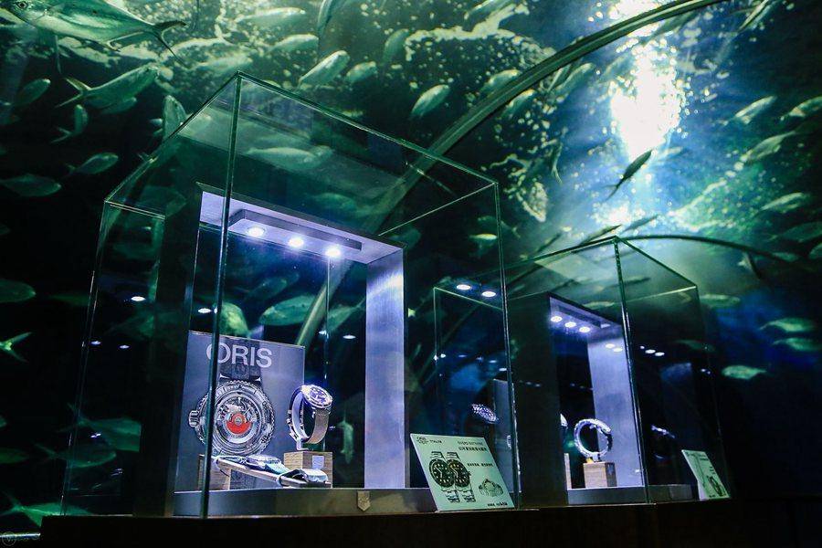 天梭海星与豪利时,天梭手表和豪利时哪个好