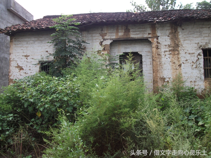 真切怀念老乡邓国金