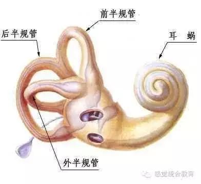 前庭觉失调的孩子专注力,前庭觉失调的孩子能沟通吗