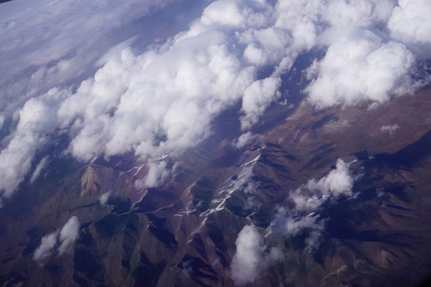 吉利德丙肝特效药事件,吉利德治愈丙肝成反面教材