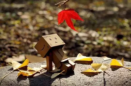 一叶知秋英语,一叶知秋英文怎么写