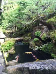 碉堡｜日本关西深度游最详细攻略！体验全日本最美的小渔村，吃嗨