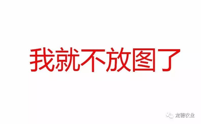 龙鱼吃了特别大的食物,龙鱼吃的鱼食