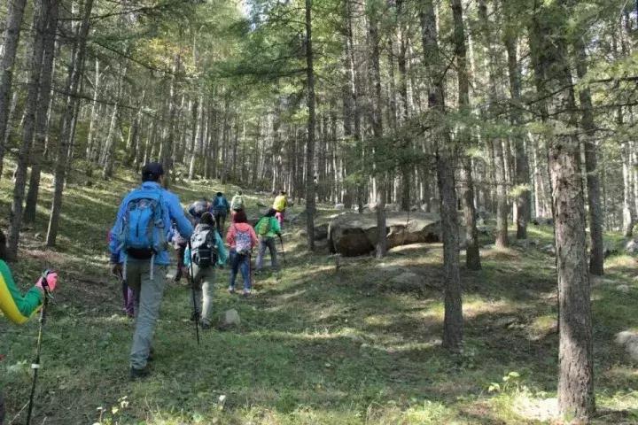 十一去哪玩划算 (十一最适合去哪里玩)