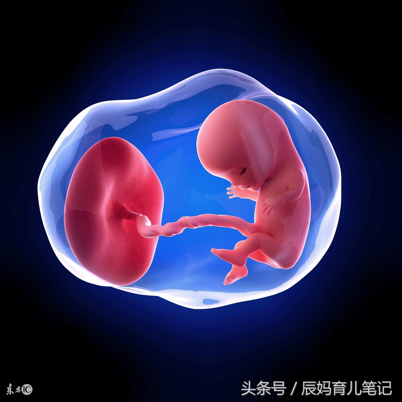 胎停育先兆流产出血要去医院吗,胎停育有先兆吗