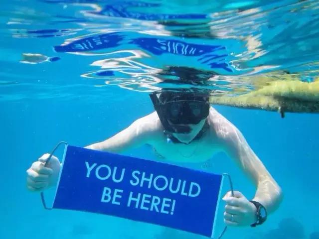 跨跃太平洋来骗你：WV梦幻之旅，还是梦断之旅？