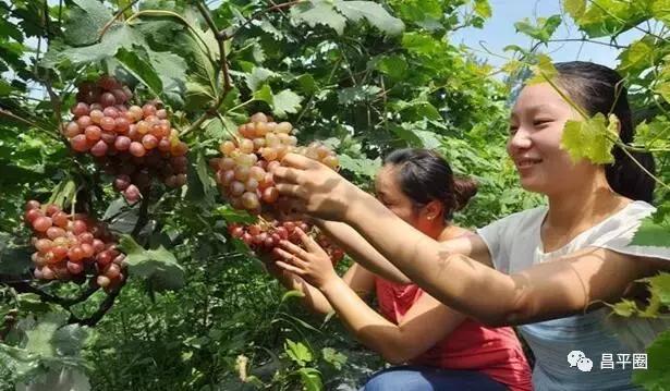昌平北七家亲子游玩推荐,昌平一日游景点大全集