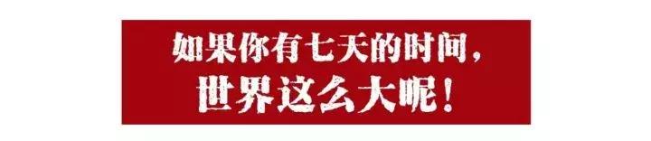 十一去哪玩划算 (十一最适合去哪里玩)