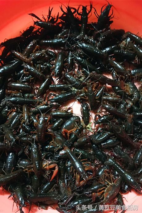 湖北油焖小龙虾加黄瓜的正宗做法,油焖小龙虾加土豆和黄瓜家常做法