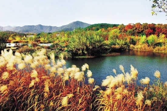 小姐！杭州好，杭州住多了对皮肤好！