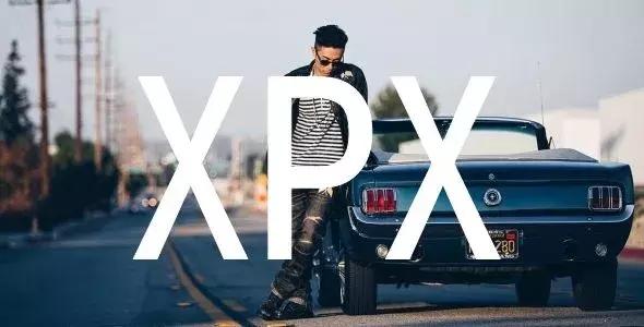 周柏豪的年度报告,周柏豪帅