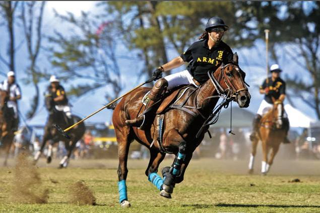 唐朝体育为何是封建王朝鼎盛时期,唐朝体育运动的项目