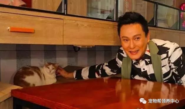 张信哲捡破烂开飞机,张信哲养的宠物