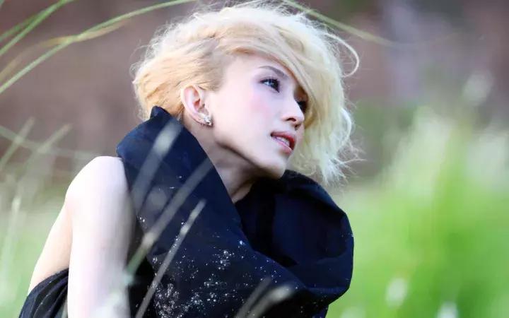 戴佩妮唯一一个让粉丝带火的明星,明星对戴佩妮的评价