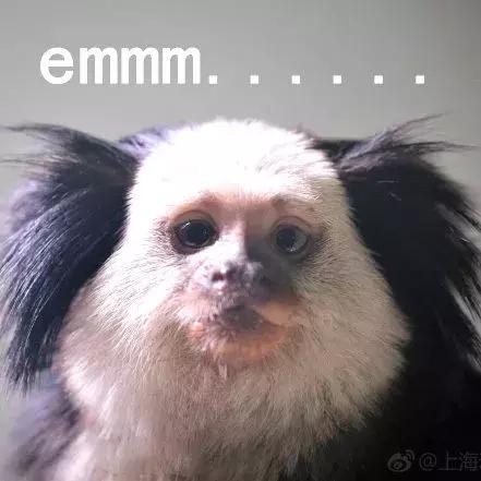 夏季出门必备的装备,夏日出门的最佳装备