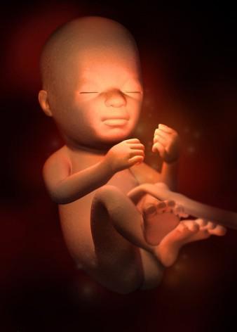 这组高清3D图，带你了解胎宝宝1-40周生长发育全过程