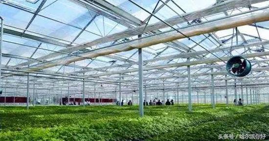 5月19号黑龙江有哪些景区免门票,黑龙江旅游日免门票景区