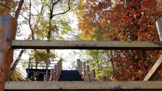 魅蓝6测评,良心的手机测评