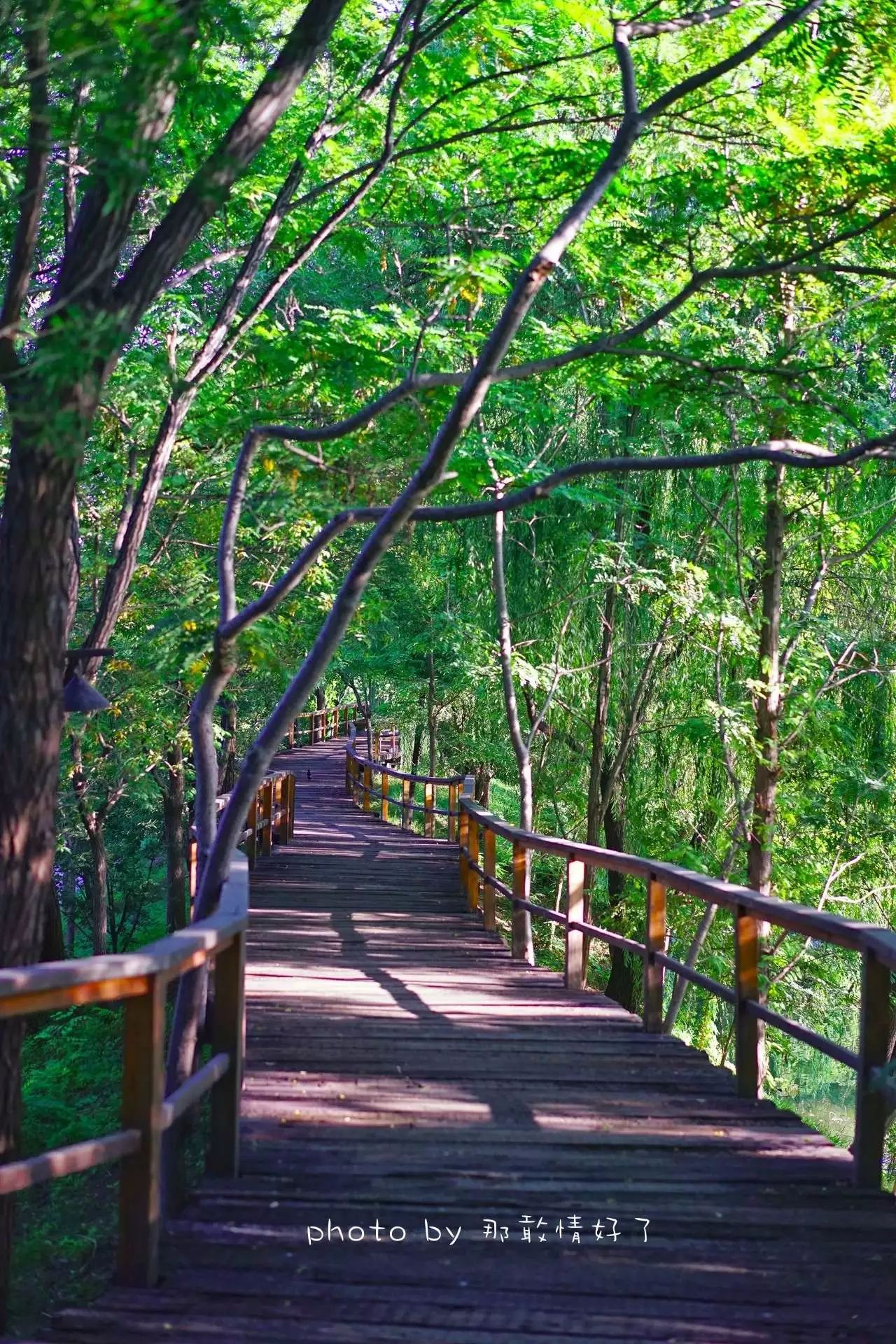 北京汤泉度假酒店排名,京城度假酒店